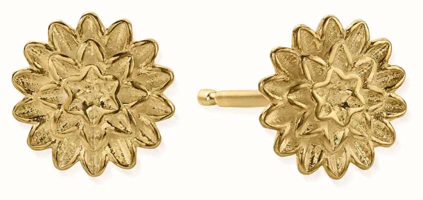 ChloBo Botanical Beauty Stud Earrings | Gold Plated GEST3299
