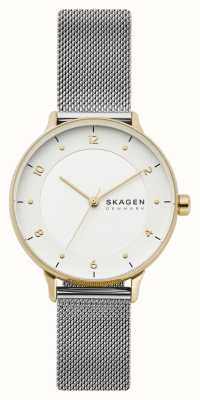 Skagen Riis (40mm) Grey Dial / Grey Steel Mesh Bracelet SKW6884