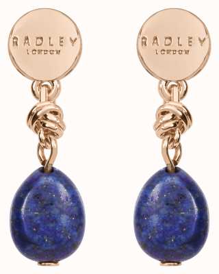 Radley Jewellery Stay Magical Blue Stone Drop Earrings RYJ1202S
